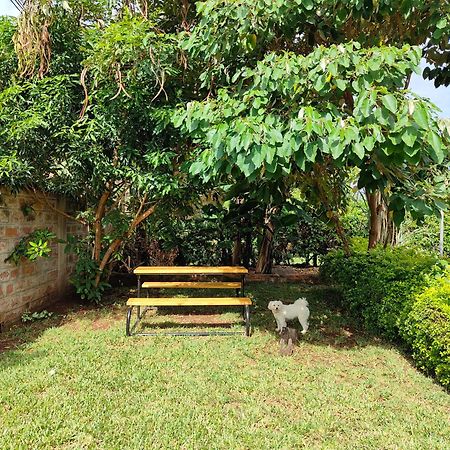 Apartament Milimani Drive Livings Kisumu Zewnętrze zdjęcie